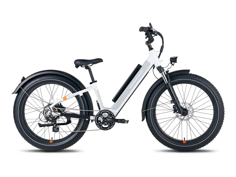 Rad Power – RadRover 6 Plus Electric Fat Tire Bicycle