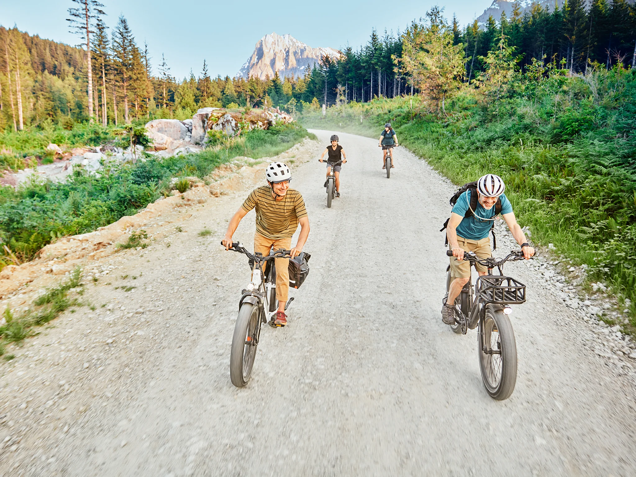 Rad Power – RadRover 6 Plus Electric Fat Tire Bicycle - view 14