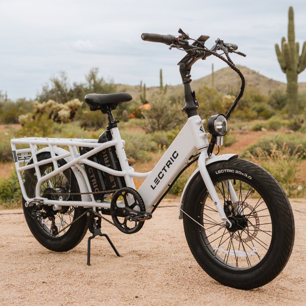 XPedition – Cargo eBike - view 14